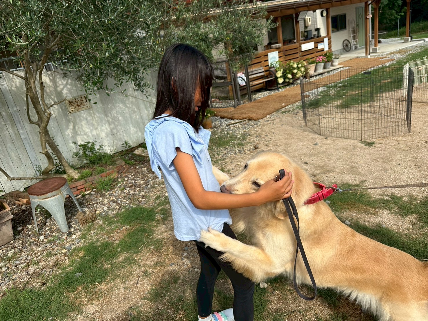 [わくわく✖︎呉　未来発見ジャーニー]